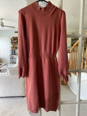 Women's Long Sleeve Mock Neck Dress in Dusty Rose